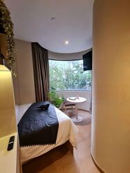 Mount Elizabeth Link (D9), Condominium #459168321